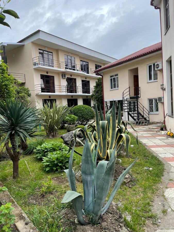 Guest House Dali Gagra Dış mekan fotoğraf