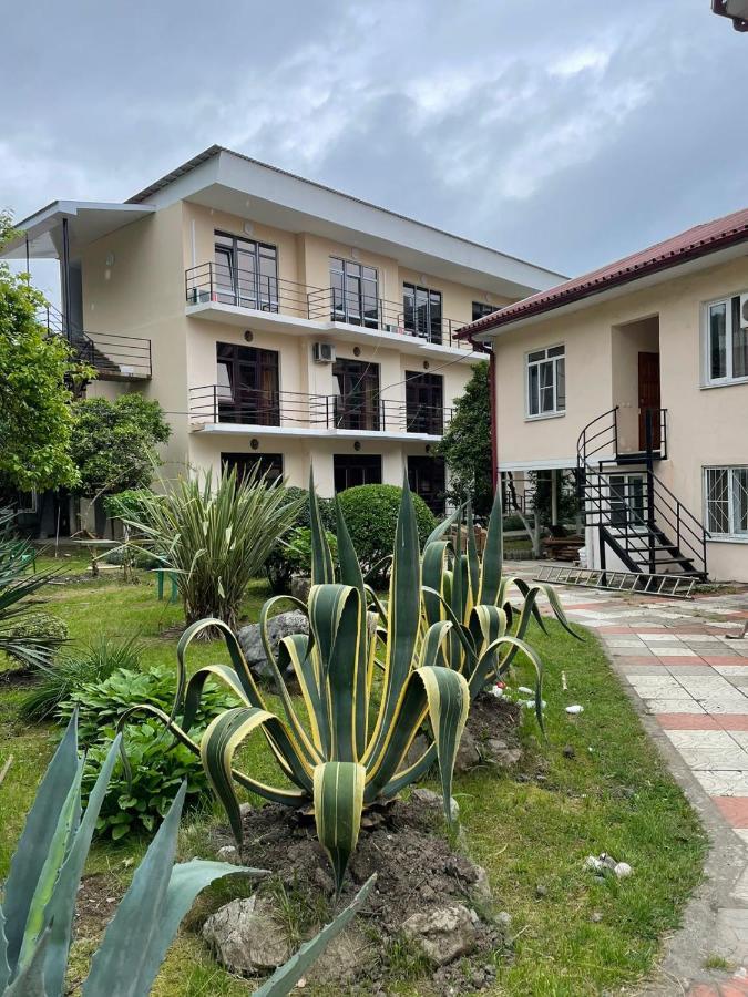 Guest House Dali Gagra Dış mekan fotoğraf