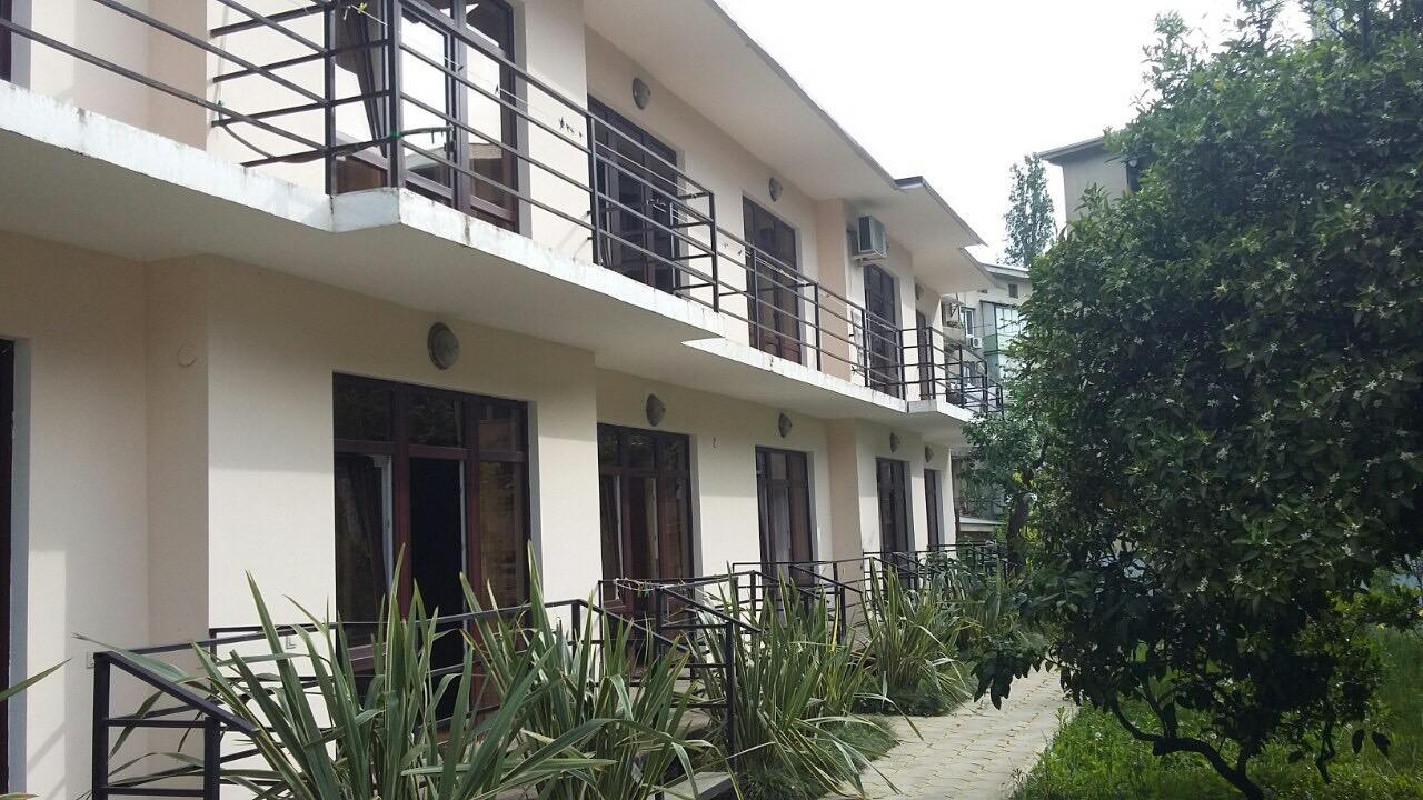 Guest House Dali Gagra Dış mekan fotoğraf