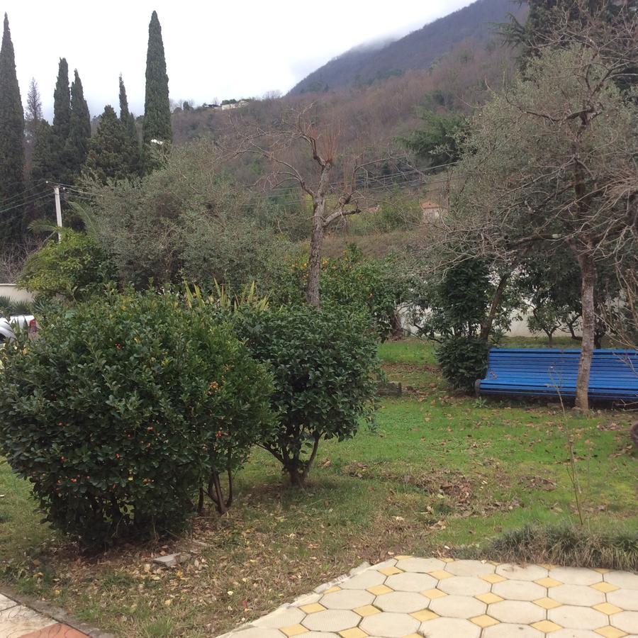 Guest House Dali Gagra Dış mekan fotoğraf