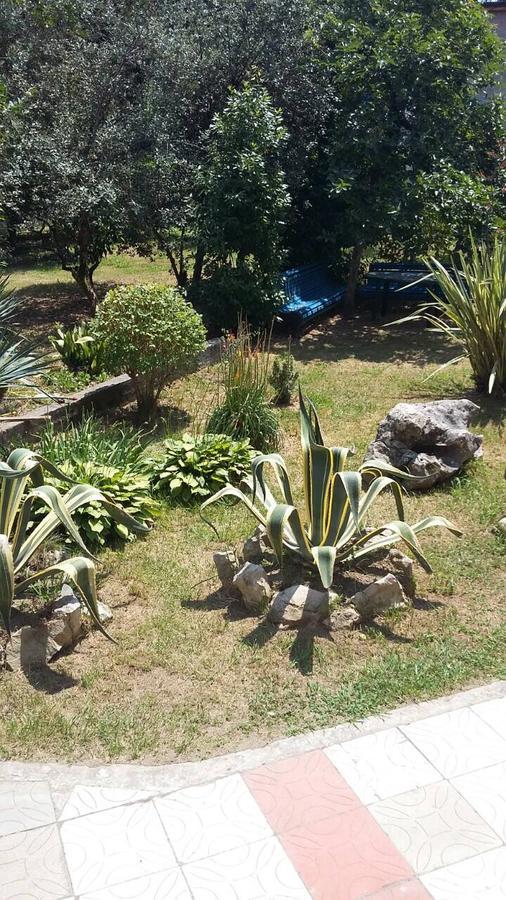 Guest House Dali Gagra Dış mekan fotoğraf