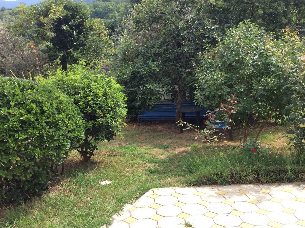 Guest House Dali Gagra Dış mekan fotoğraf