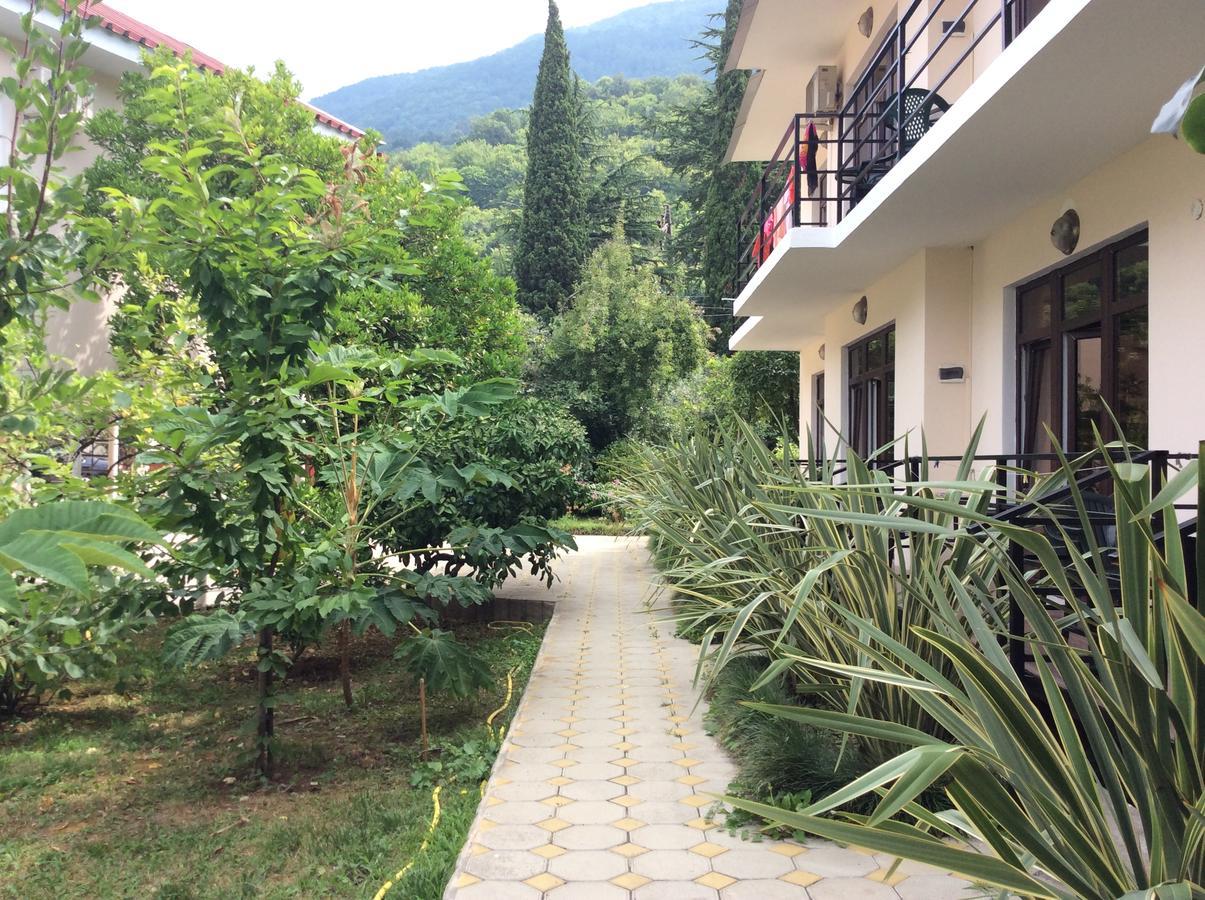 Guest House Dali Gagra Dış mekan fotoğraf