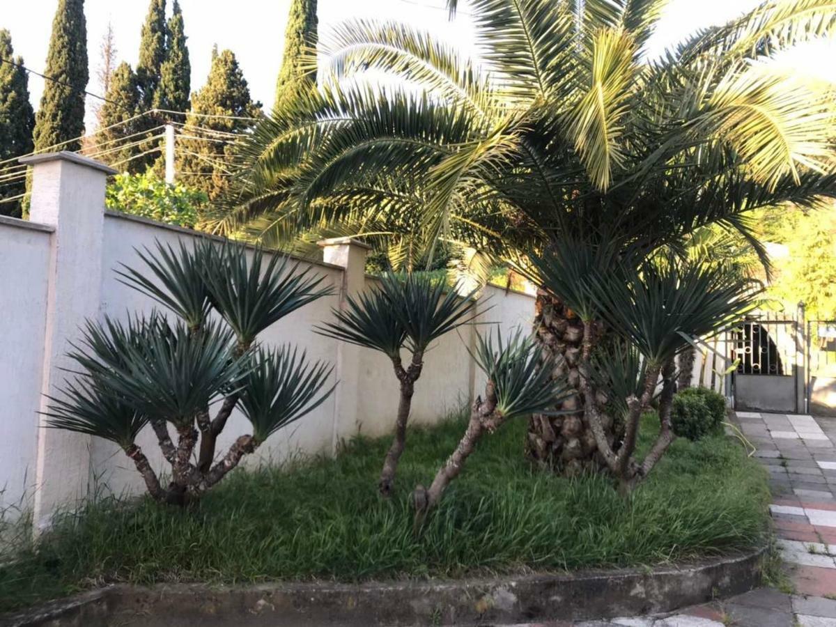 Guest House Dali Gagra Dış mekan fotoğraf