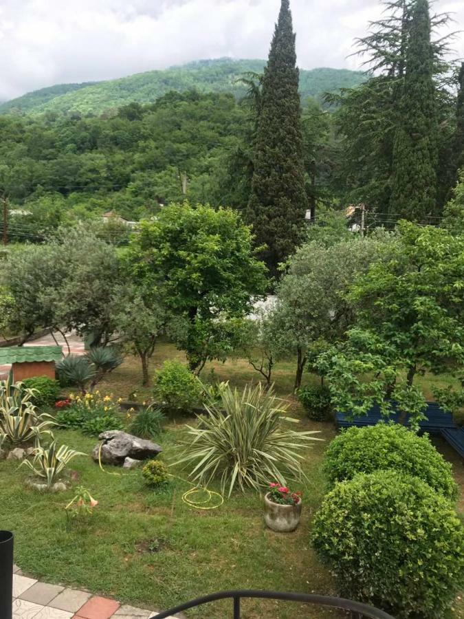 Guest House Dali Gagra Dış mekan fotoğraf