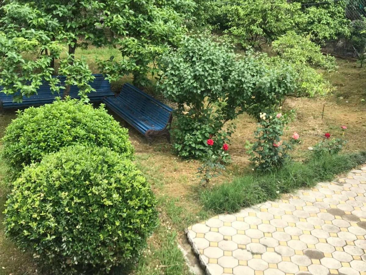 Guest House Dali Gagra Dış mekan fotoğraf